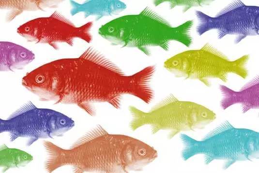 120个Photoshop技巧帮你加速设计_26