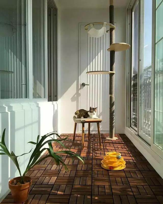 阳台隔断门，都流行这样装了