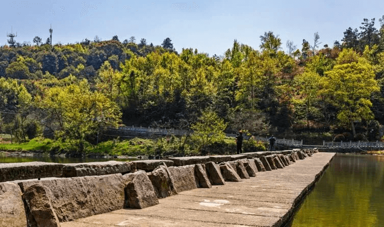 鱼、羊、马、狗……古人的防洪智慧令人惊叹！